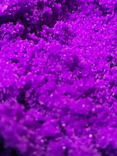 Load image into Gallery viewer, ALIENATED SUNSET - LIP SCRUB