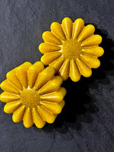 Load image into Gallery viewer, Oh Sarah!