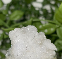 Load image into Gallery viewer, WANDERLUST - LIP SCRUB