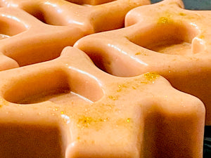 The Heart of Texas Soap Bar