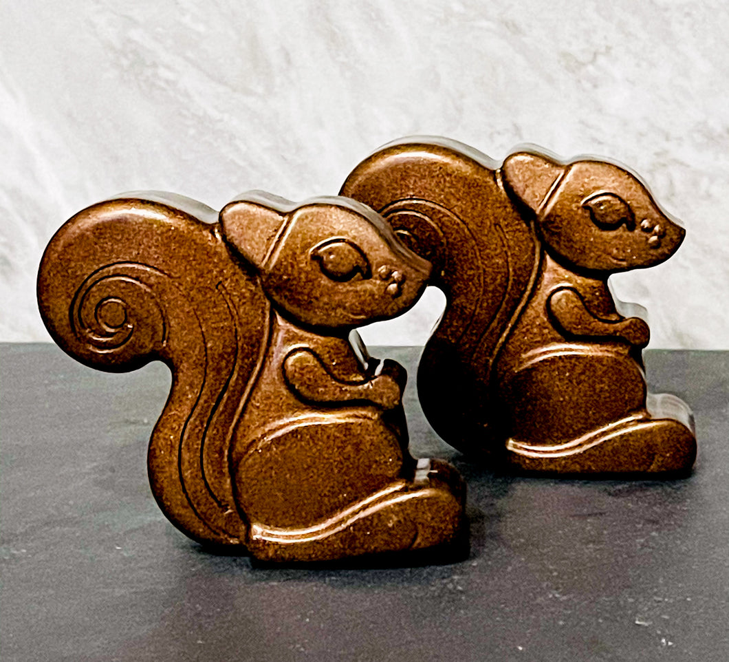 Squirreling  Around